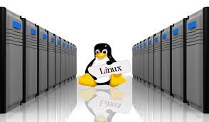 linux server