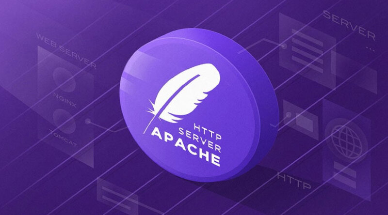 Cộng đồng và tài liệu phong phú