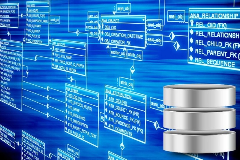 Hệ thống Cơ sở dữ liệu (Database)