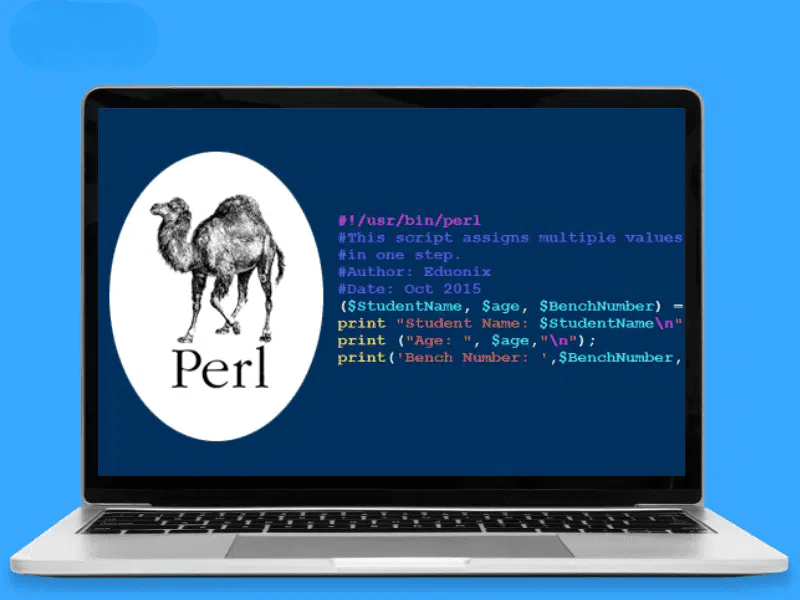 Lập trình hướng đối tượng trong Perl