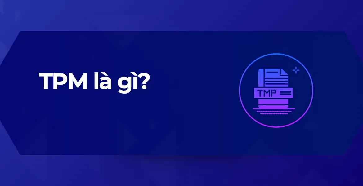 Tổng quan TMP